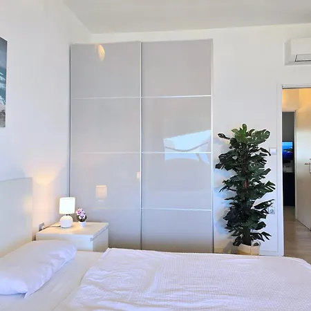 Bralo * טרוגיר